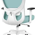 Desk Chair with Adjustable Lumbar Support